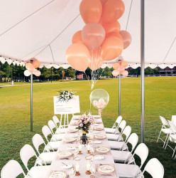 IMG 2044 1771535080 20x30 Canopy Tent Rental – Redding, CA